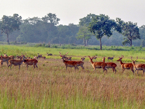 Nepal Nature Tour